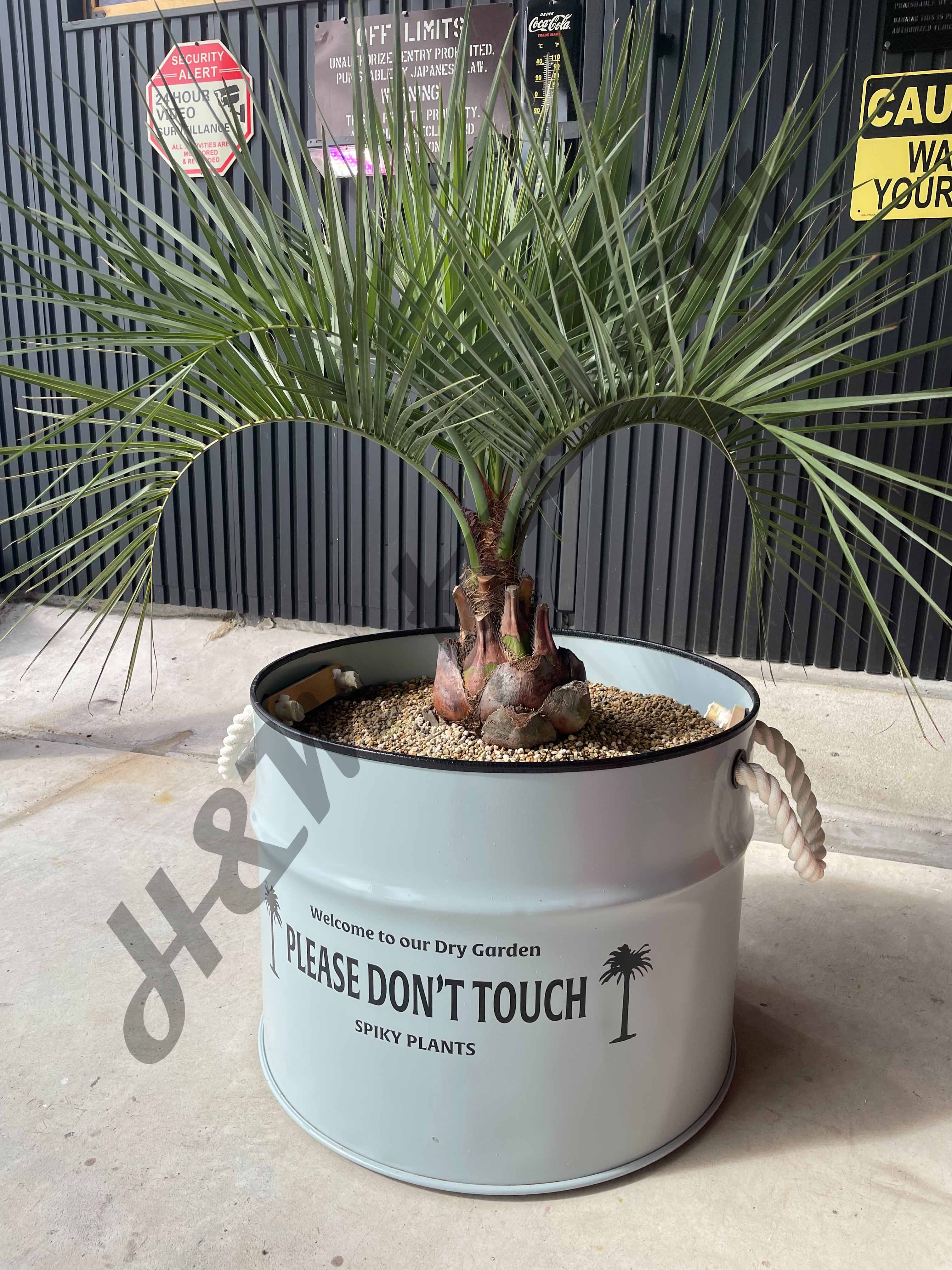 プランター縦型